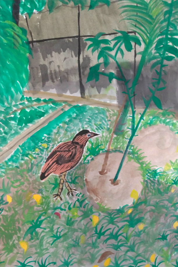 悅齡組 入選 - 陳凰蓮